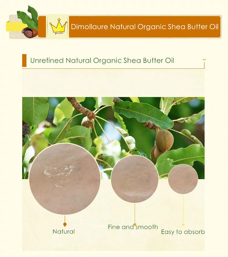 Dimollaure Unrefined Organic Shea Butter Oil 100g Moisturizing Nourishing Body Oil Cosmetics Raw - Moyo Elikia