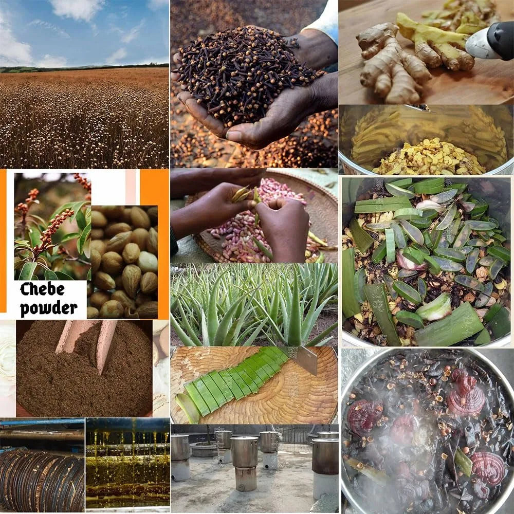 Layden Oil-One Touch to Gorgeous-North African Aloe Vera＆ Chebe Powder＆Moroccan Cloves Scalp & Hair Strengthening - Moyo Elikia