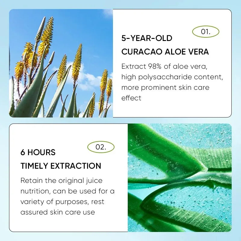 Lip Aloe Balm Nourishing, Refreshing, Hydrating and Moisturizing Preventing Cracking and Repairing Lips Gentle Non Irritating - Moyo Elikia